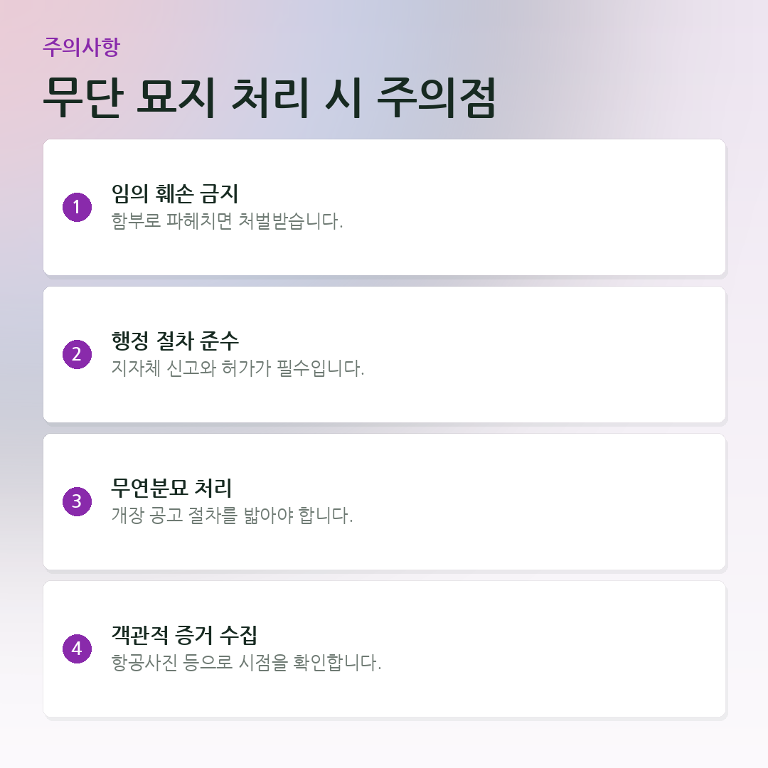 무단 묘지 처리 시 주의점 요약 카드