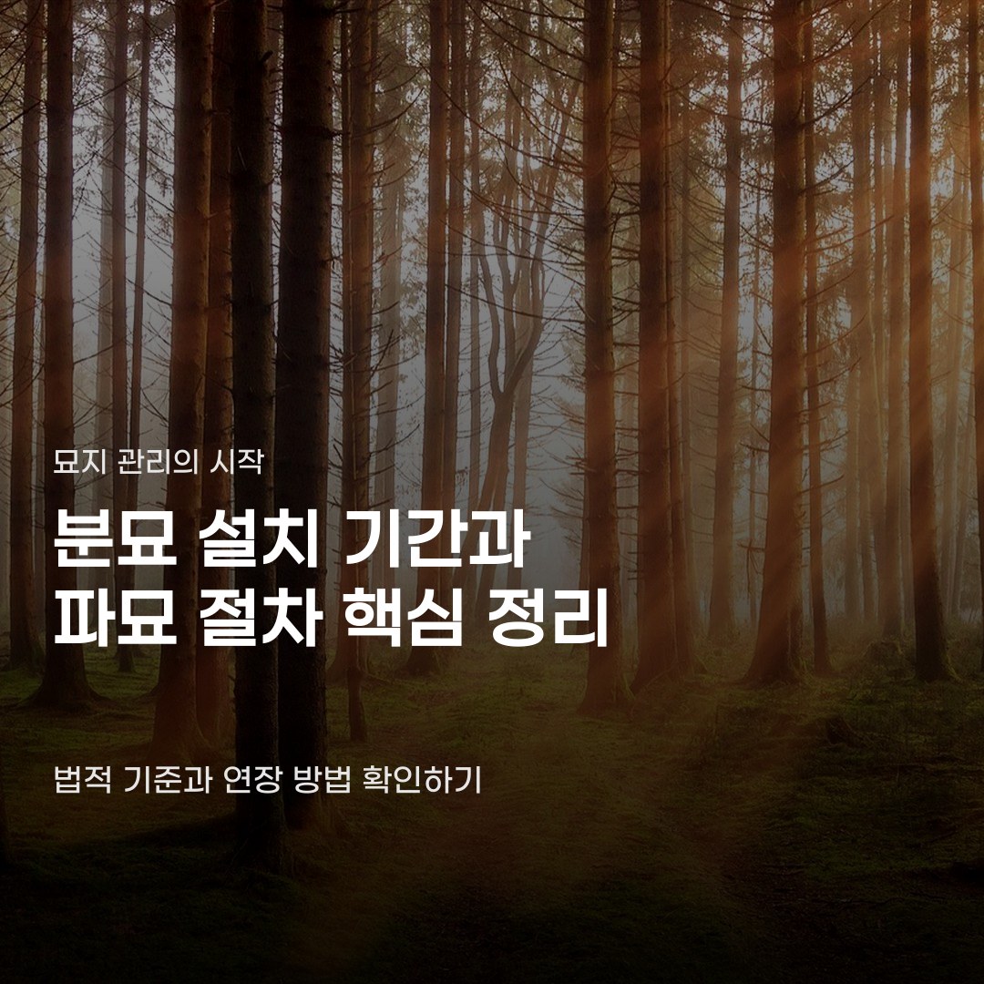 파묘 절차 분묘 설치 기간과 연장 기준