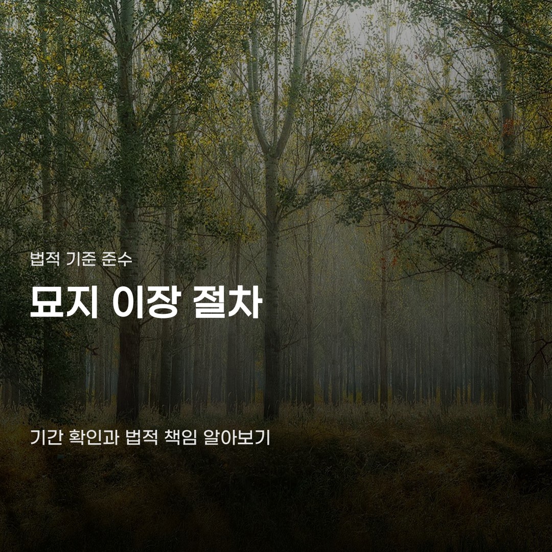 묘지 이장 절차 신고부터 파묘와 화장까지 단계별 과정