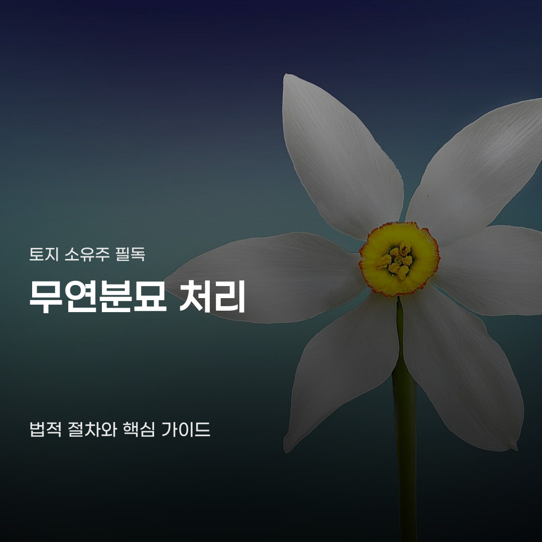 무연분묘 처리 공고부터 개장 허가까지 단계별 순서