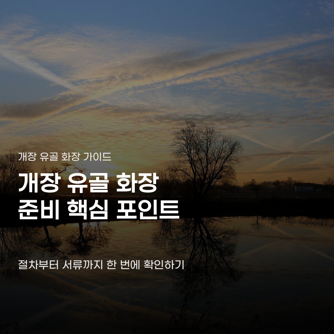 개장 유골 화장 절차와 준비 서류 5가지 확인 사항