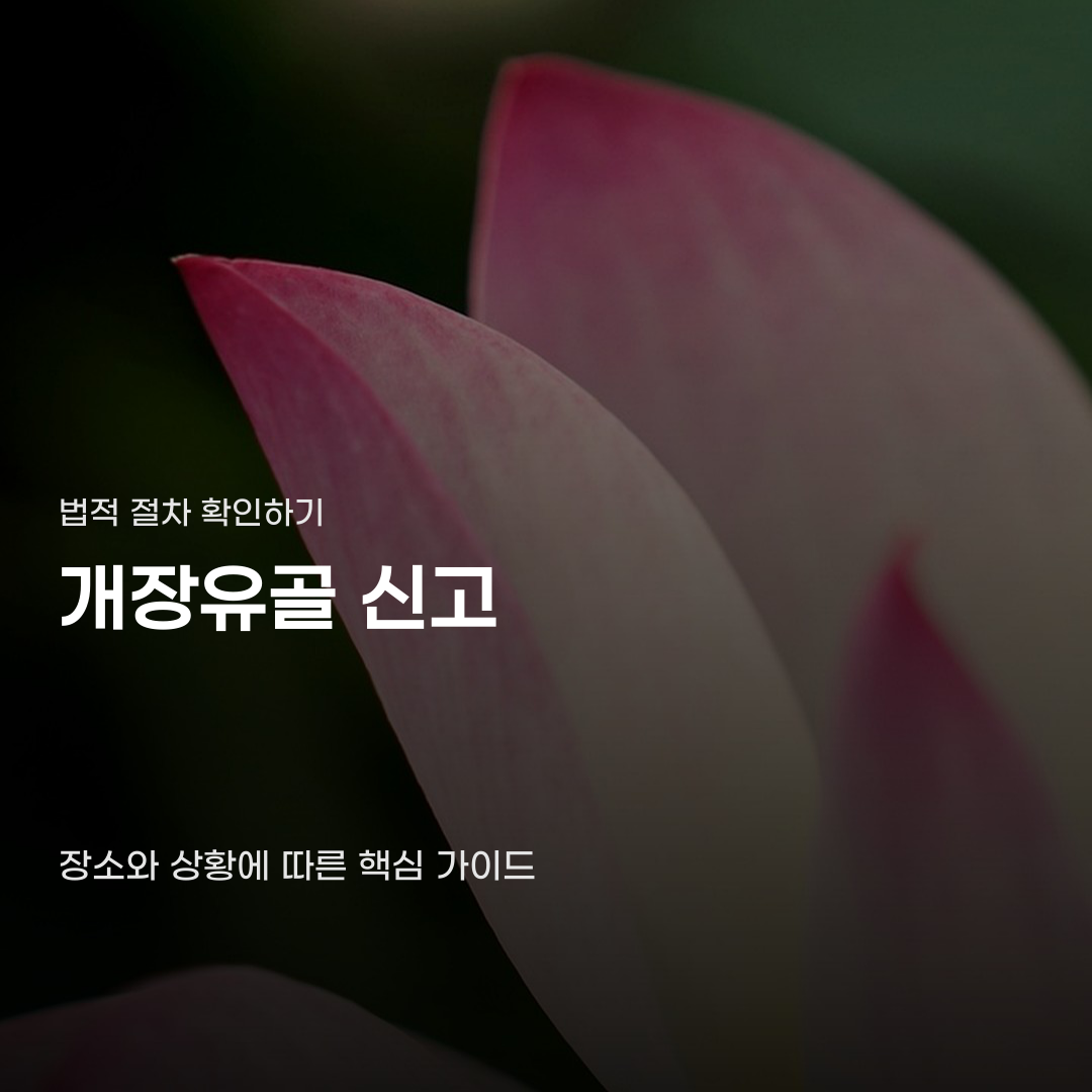 개장유골 신고, 미리 확인해야 할 핵심 절차 5가지