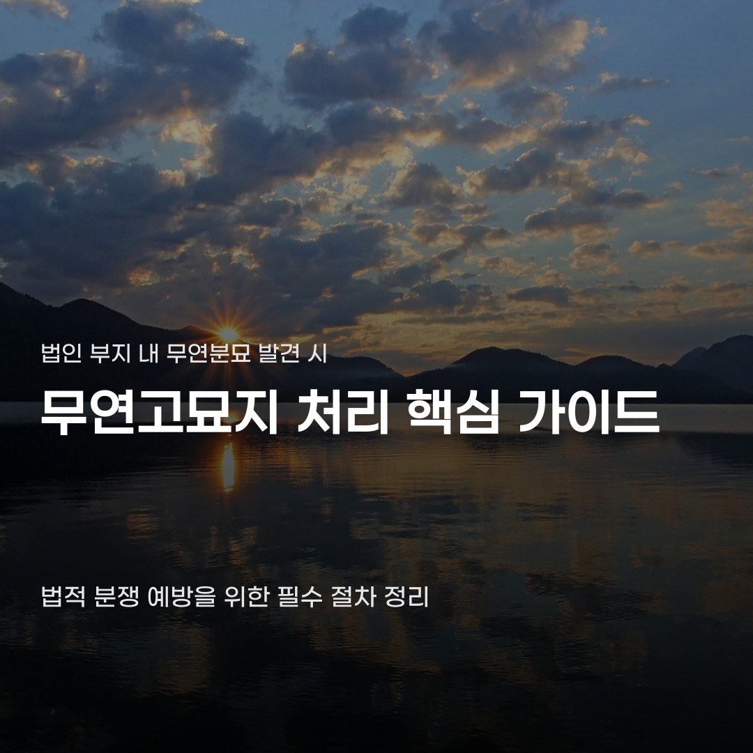 법인회사 무연고묘지 처리 절차, 공고부터 개장 허가까지의 단계